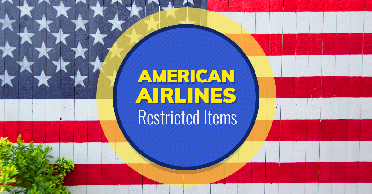 american airline guitar policy