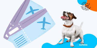 Air India Pet Policy Does Air India Allow Pets On International Flights