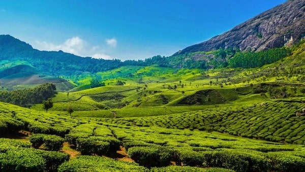 Munnar, Kerala-min