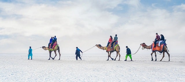 Rann of Kutch, Gujarat-min