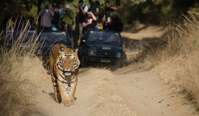 Guindy National Park Chennai-min